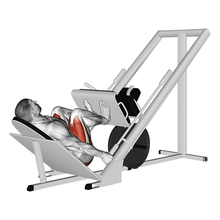 Sled 45° Narrow Stance Leg Press