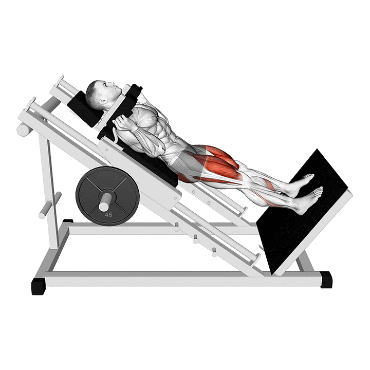 Sled Hack Squat