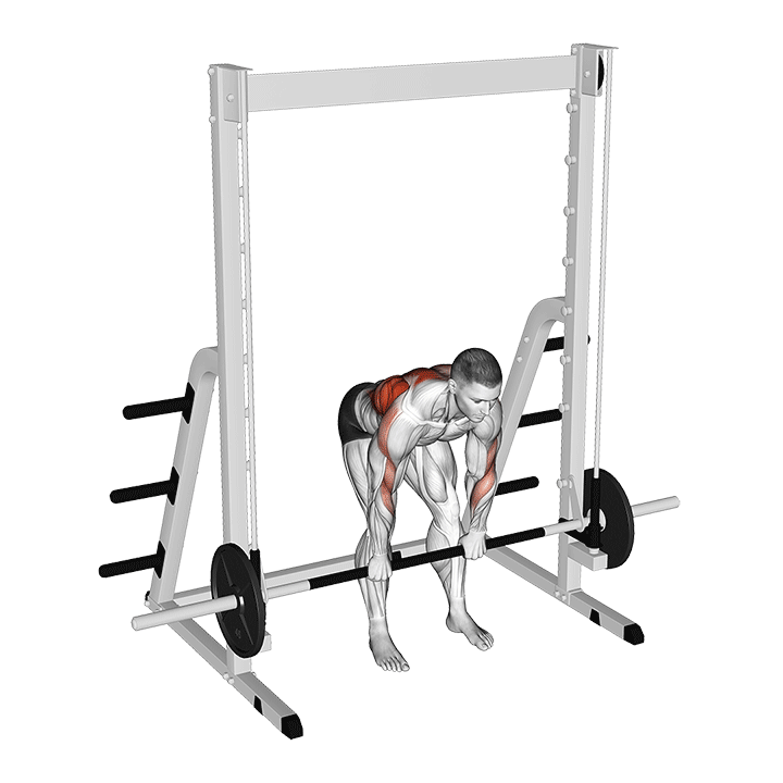Smith Bent Over Pronated Grip Row