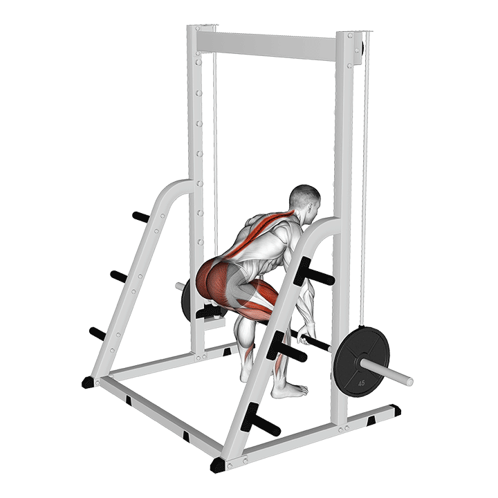 Smith Deadlift