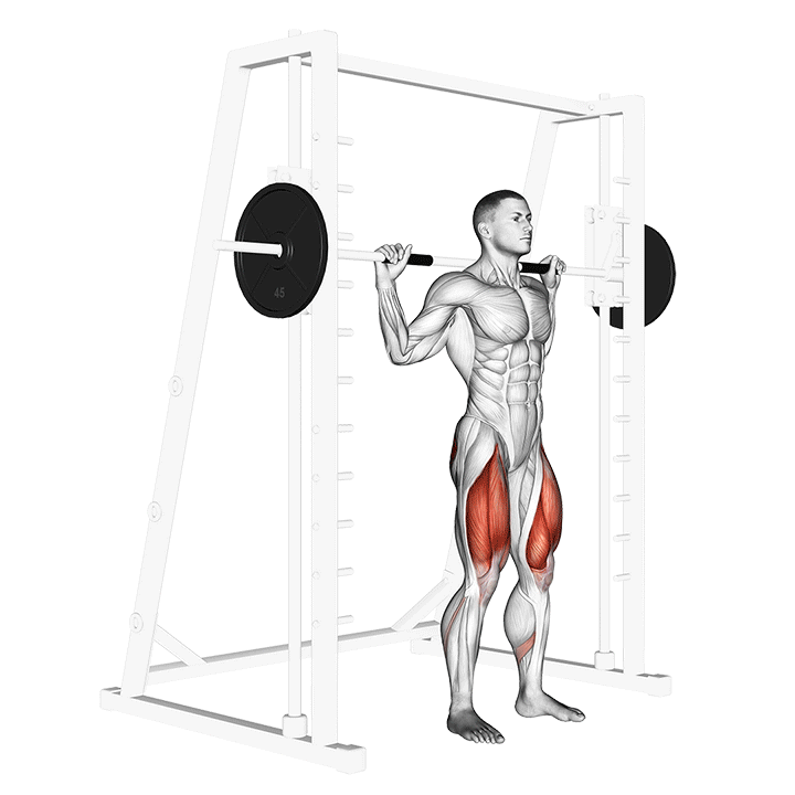 Smith Squat
