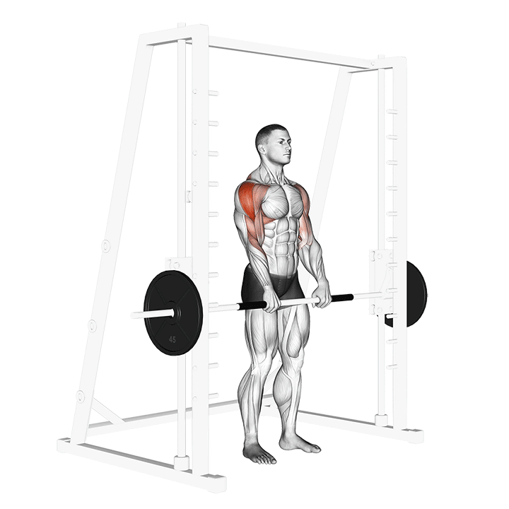Smith Upright Row
