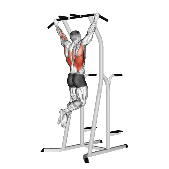 Wide Grip Pull-Up On Dip Cage